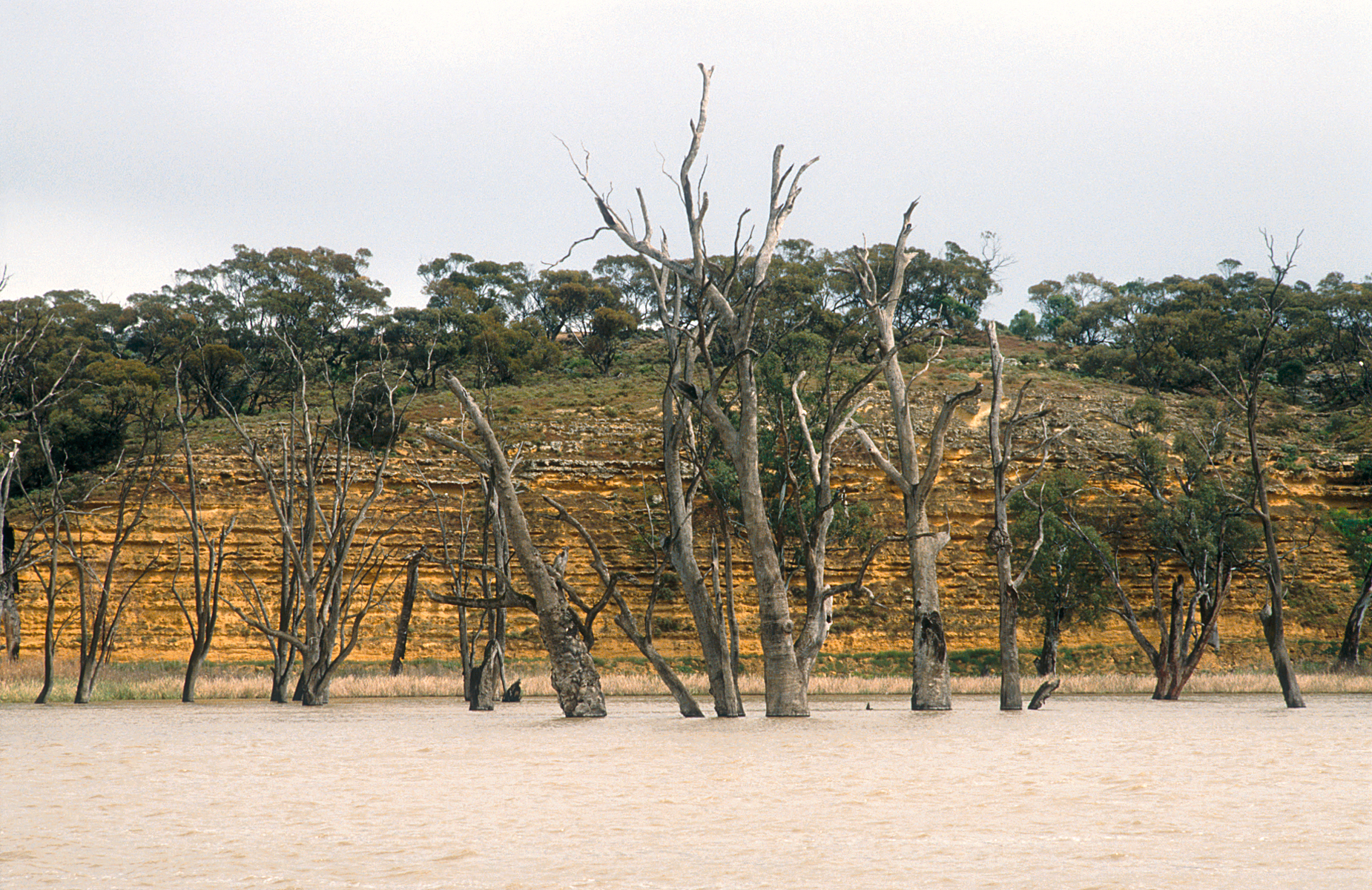 7 Best River Cliffs & Lookouts on the Murray