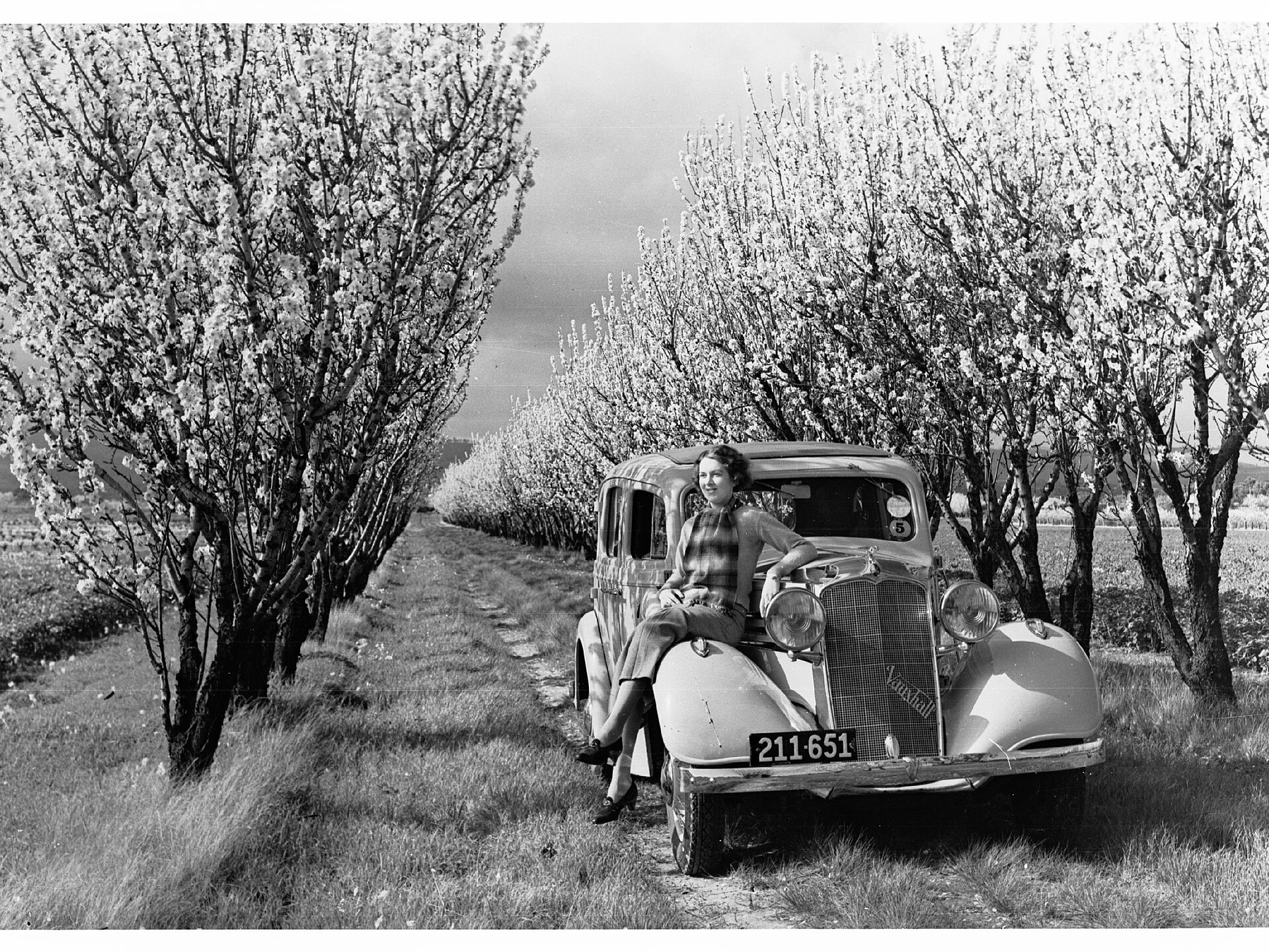 Almondco Australian Almond Centre