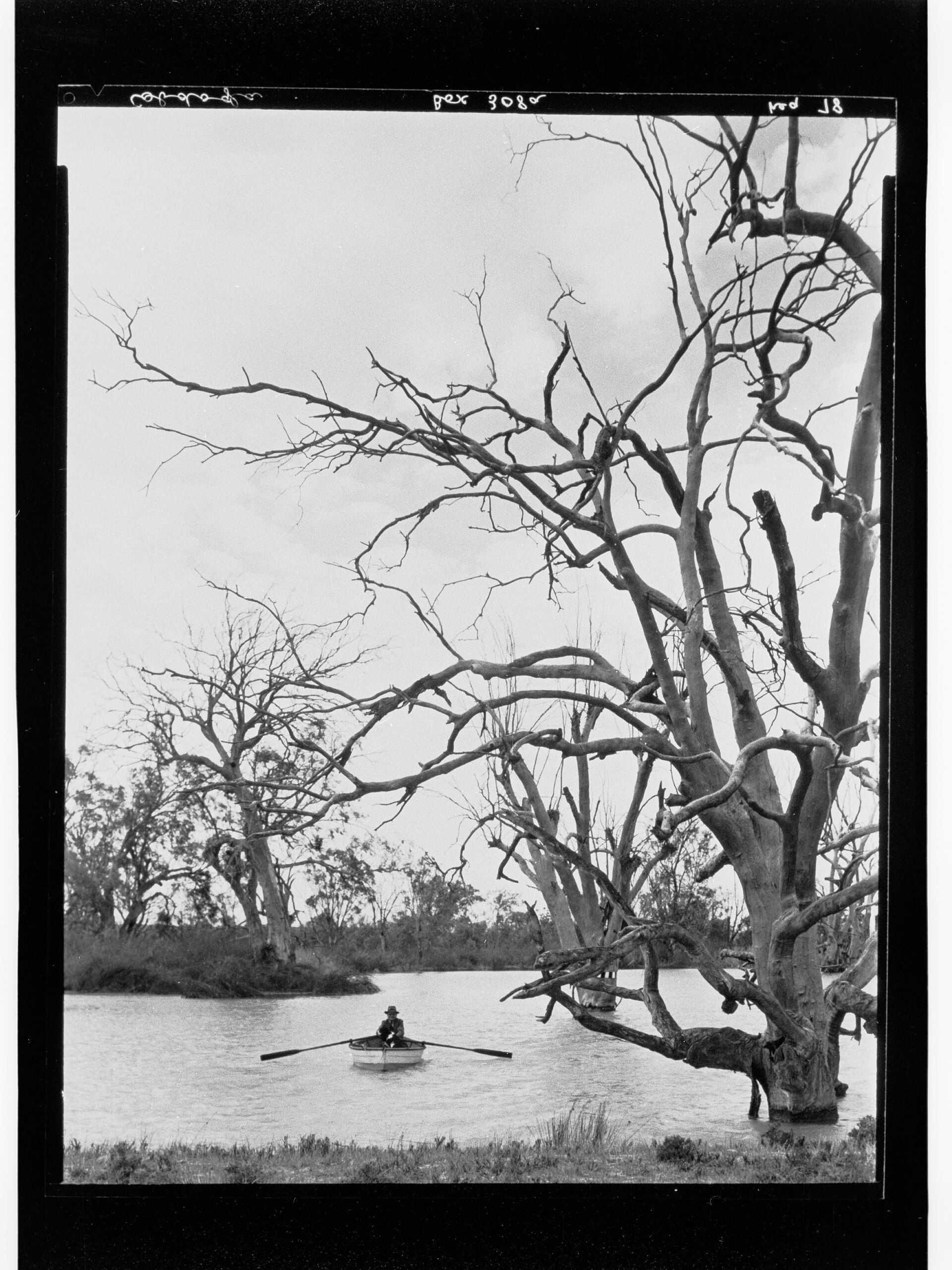 Overland Corner Wetlands