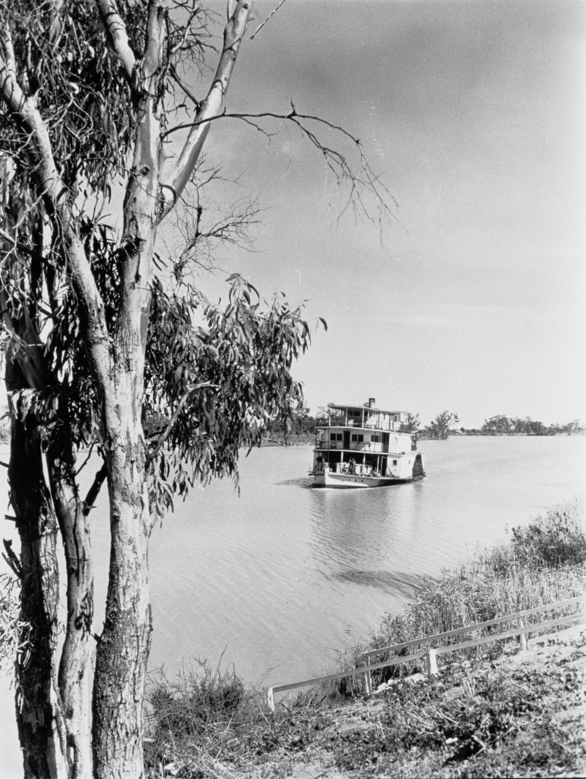 Wilabalangaloo Reserve