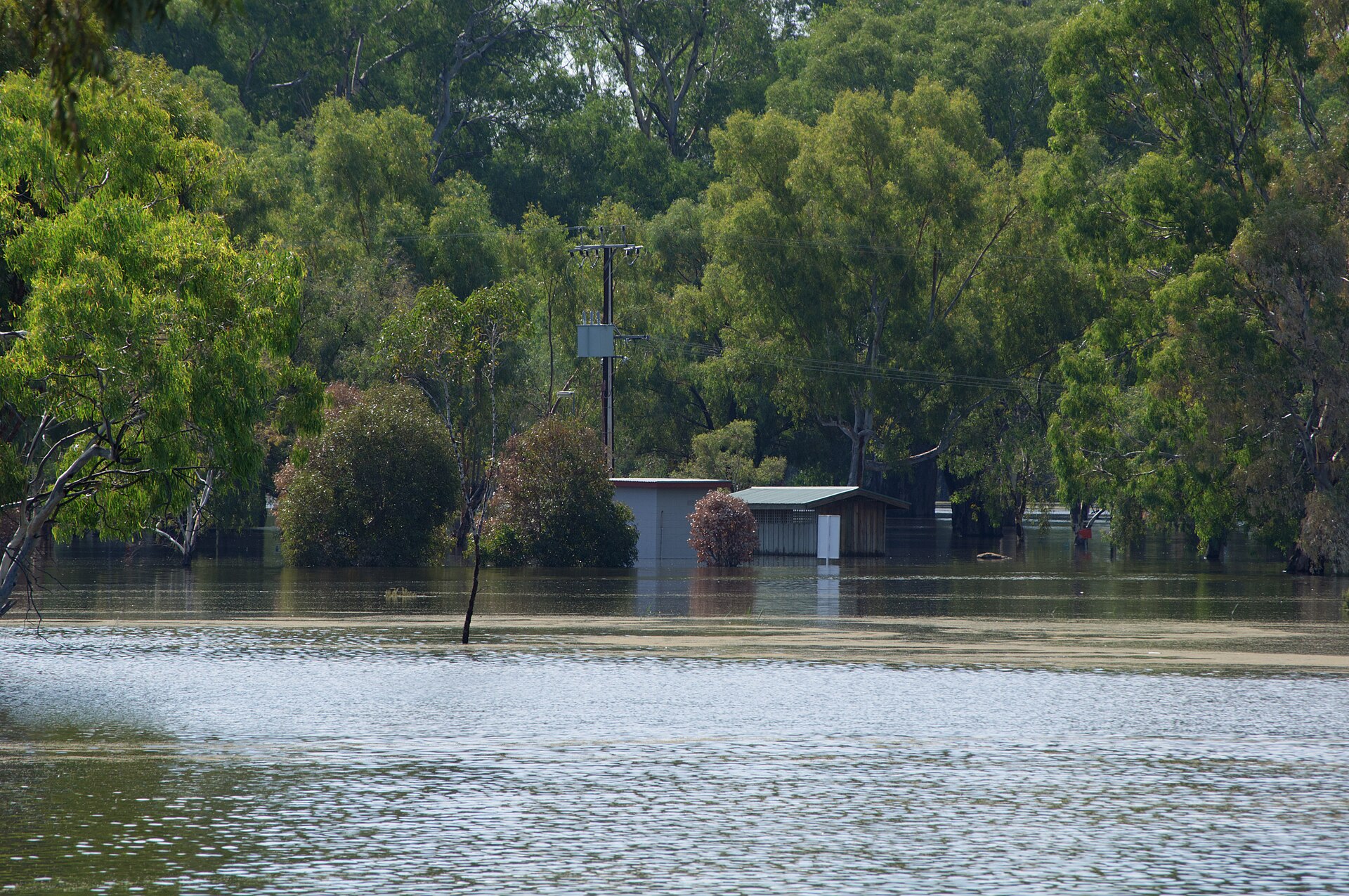 Bonney Reserve Berri Riverfront