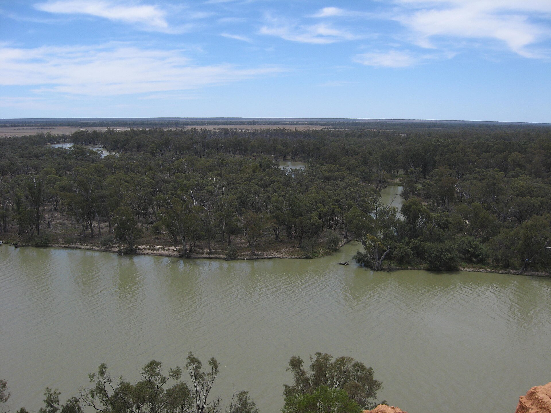 New Residence Wetland
